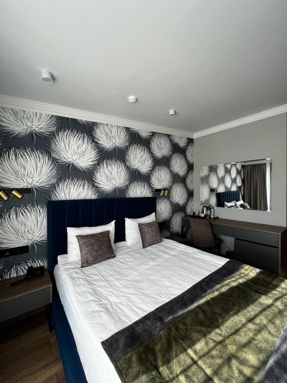 Бристоль — Двухместный номер с 1 кроватью стандарт с видом на горы