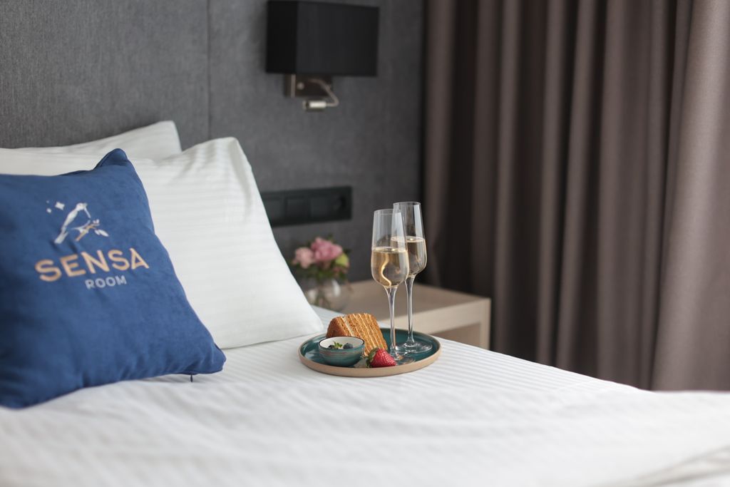 Sensa Room — Двухместный номер с 1 кроватью студия классик Grey