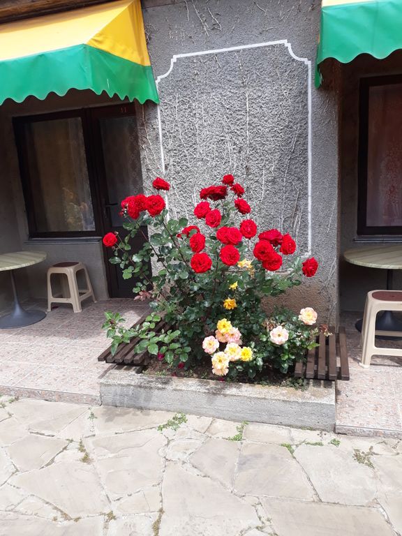 Прибой — Двухместный номер с 2 отдельными кроватями Двух местный стандарт