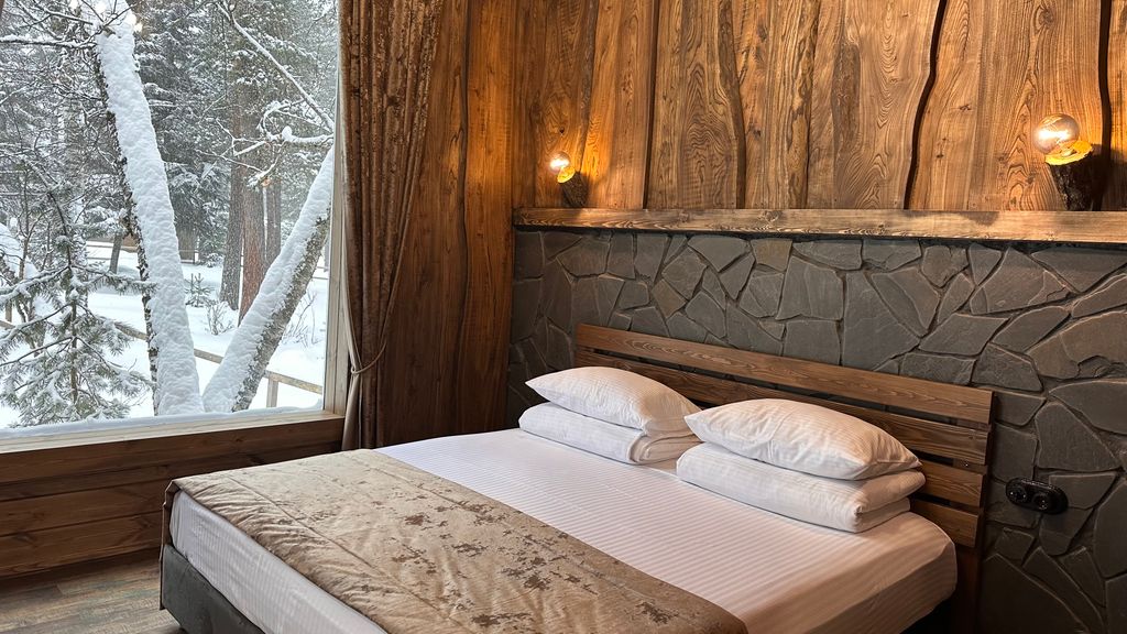 Шишка — Дом Хюгге