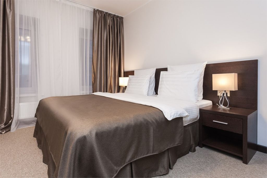 Силуэт — Двухместный номер с 1 кроватью или 2мя отдельными кроватями люкс