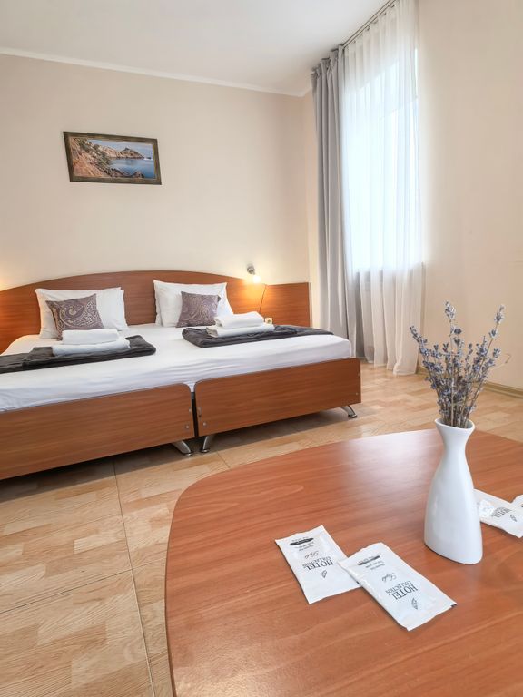 Пансионат Лидия — Двухместный номер с 1 кроватью стандарт