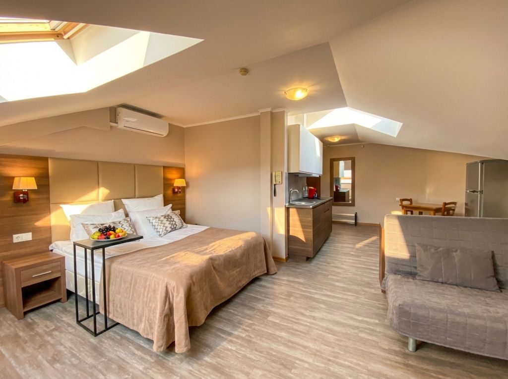 Роза Ветров — Двухместный номер с 1 кроватью студия