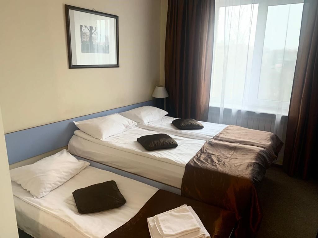 Флогистон — Двухместный номер с 1 кроватью стандарт с дополнительным местом