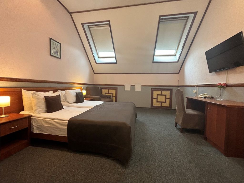 Елизар — Двухместный номер с 1 кроватью стандарт с мансардным окном