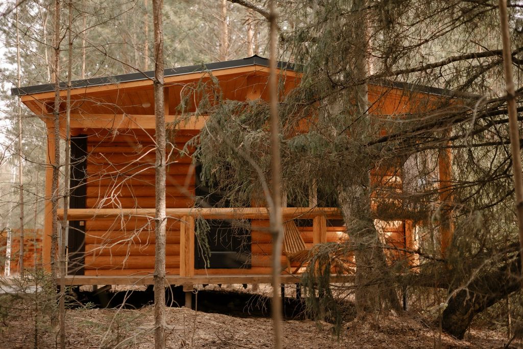 Илеть — Отдельный дом Сруб в лесу с Чаном №6