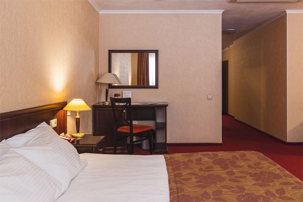 Шереметев — Двухместный номер с 1 кроватью стандарт