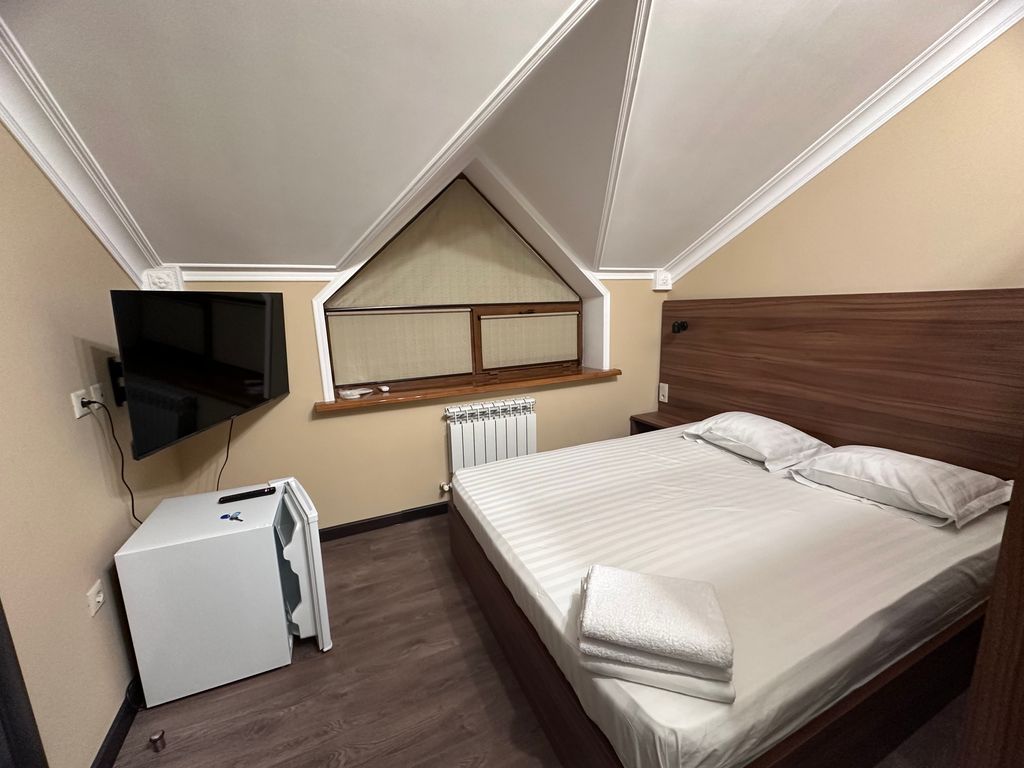 Макс — Двухместный номер с 1 кроватью стандарт с видом на город