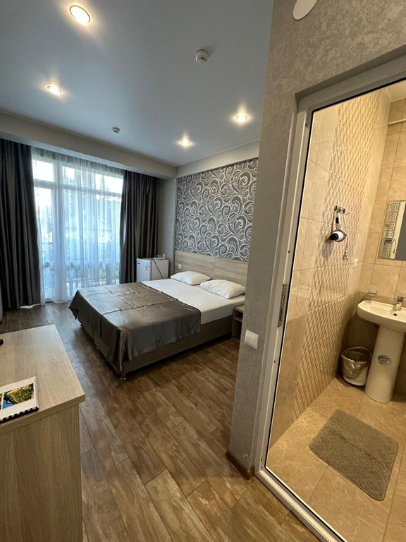 Альмира — Двухместный номер с 1 кроватью стандарт с видом на город