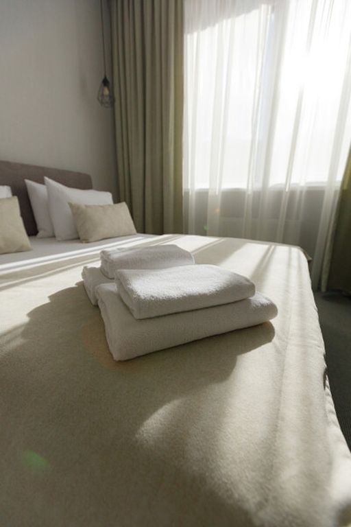 Grizzly — Двухместный номер с 1 кроватью Стандарт