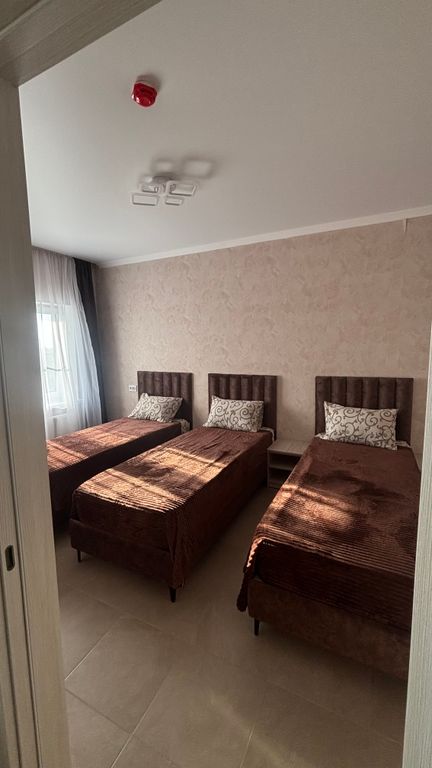 Абрикос — Семейный номер люкс